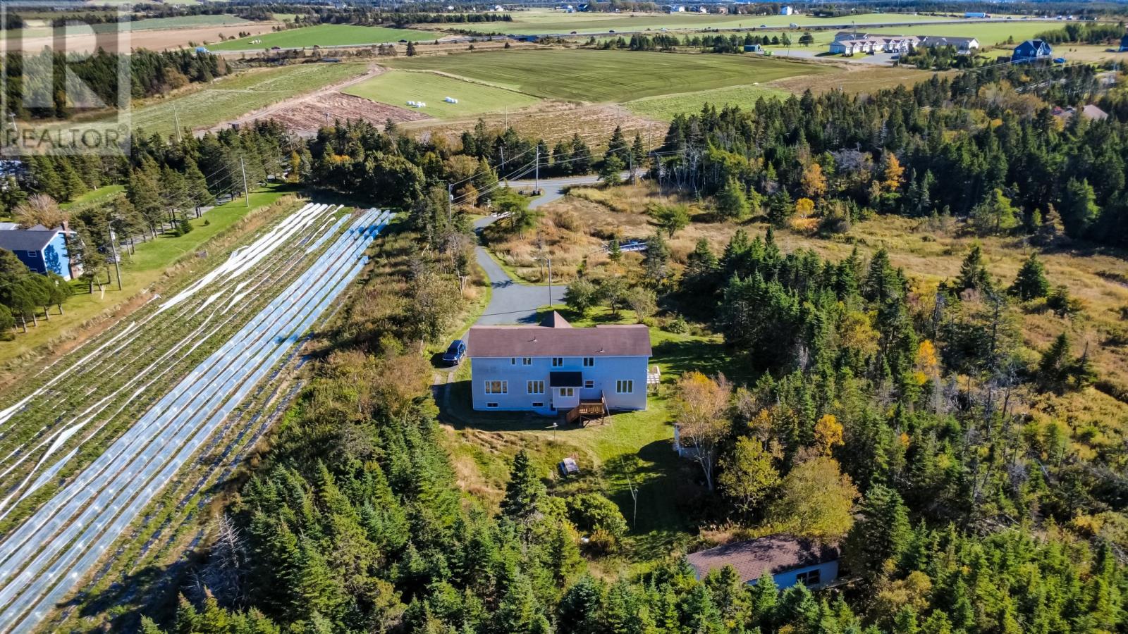 55 Heavy Tree Road, St John's, Newfoundland & Labrador  A1G 1P5 - Photo 4 - 1304152