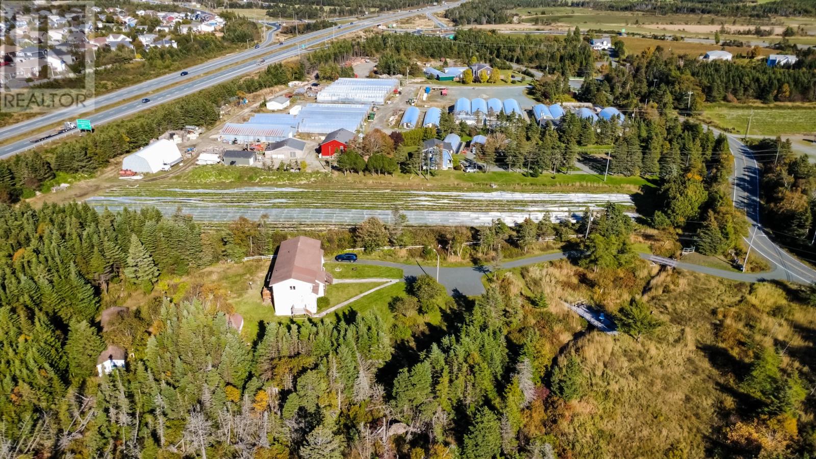 55 Heavy Tree Road, St John's, Newfoundland & Labrador  A1G 1P5 - Photo 5 - 1304152