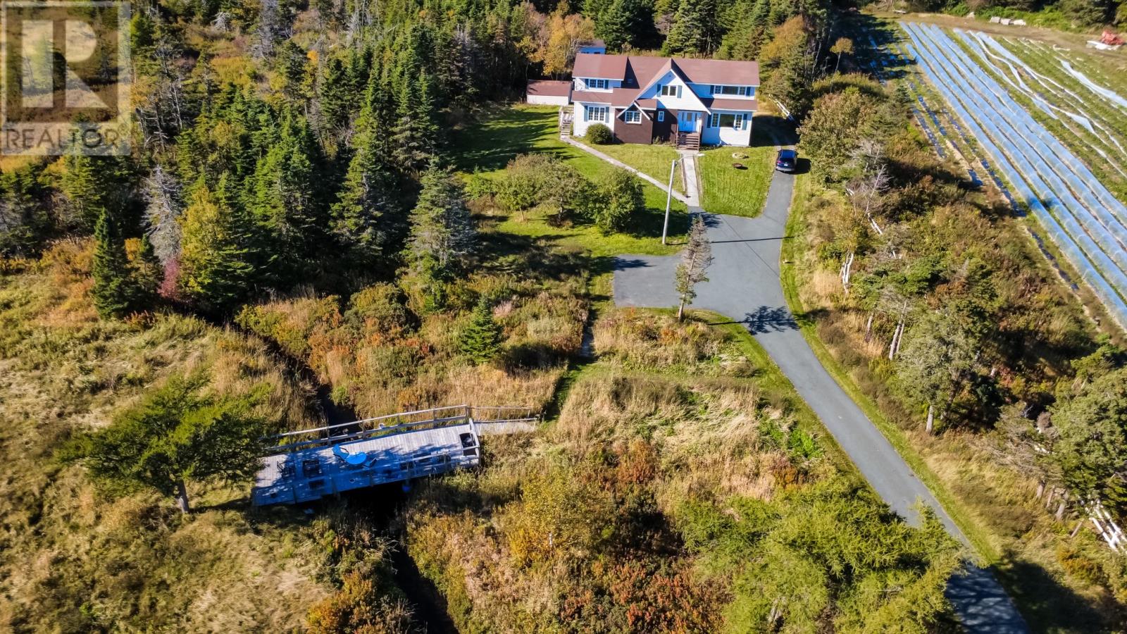 55 Heavy Tree Road, St John's — photo 41