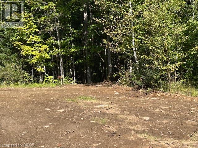 3275 Musclow-Greenview Road, Bancroft, Ontario K0L 1C0 - Photo 14 - 40871998