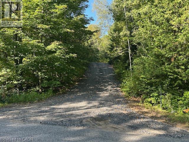 3275 Musclow-Greenview Road, Bancroft, Ontario K0L 1C0 - Photo 19 - 40871998