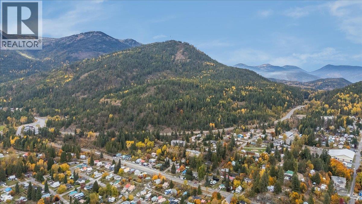 1653 Harasin Alley, Rossland, British Columbia  V0G 1Y0 - Photo 43 - 10403827
