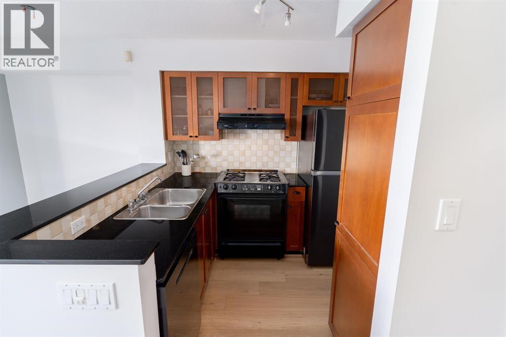 204 55 Alexander Street, Vancouver, British Columbia  V6A 1B2 - Photo 11 - R3176113