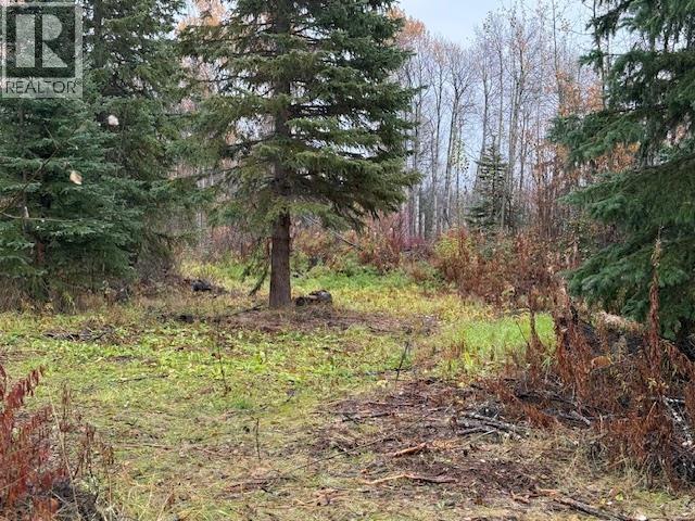 11865 Valley View Drive, Topley, British Columbia  V0J 2Y0 - Photo 3 - R3175903