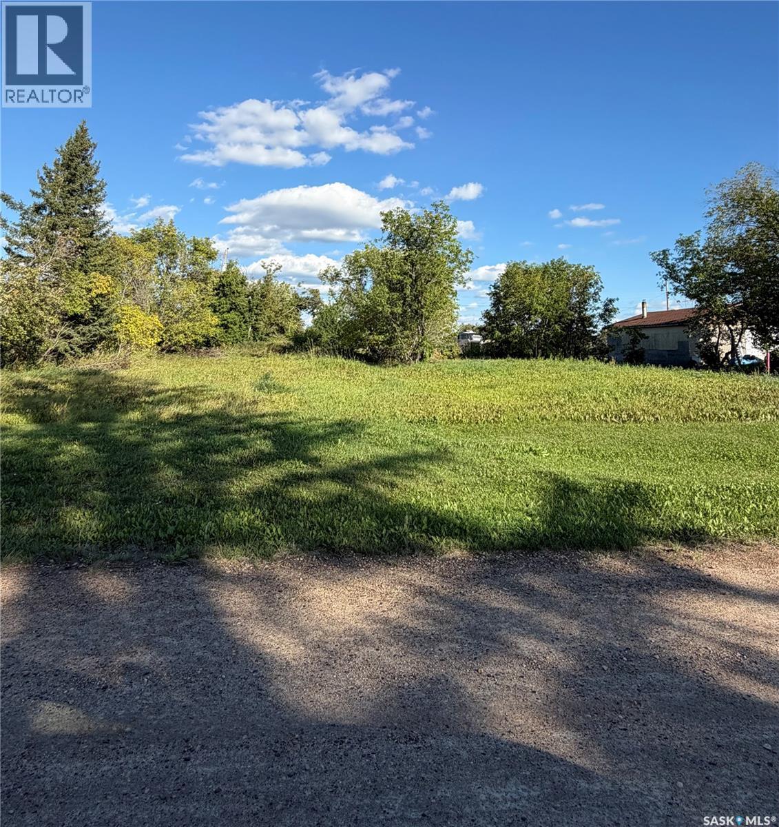 116 Centre Street, Hudson Bay Rm No. 394, Saskatchewan  S0E 0Y0 - Photo 8 - SK051203