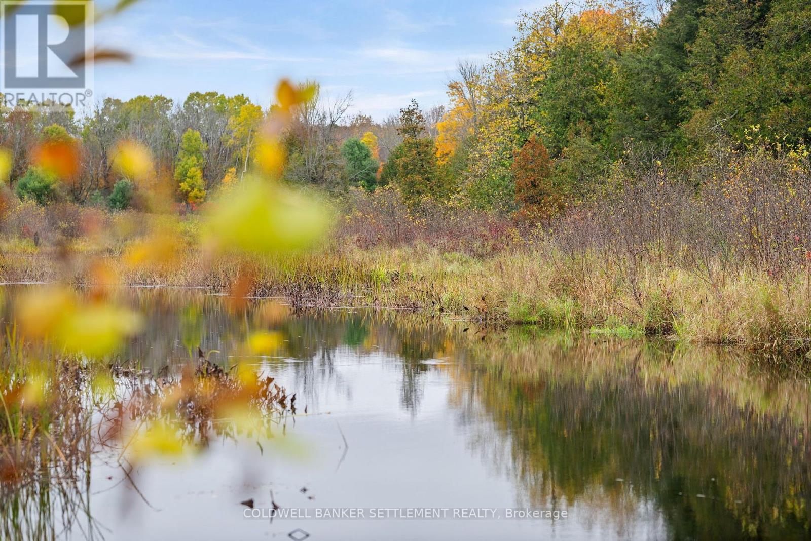 957 Upper Scotch Line Road, Tay Valley, Ontario K7H 3C5 - Photo 6 - X14088254