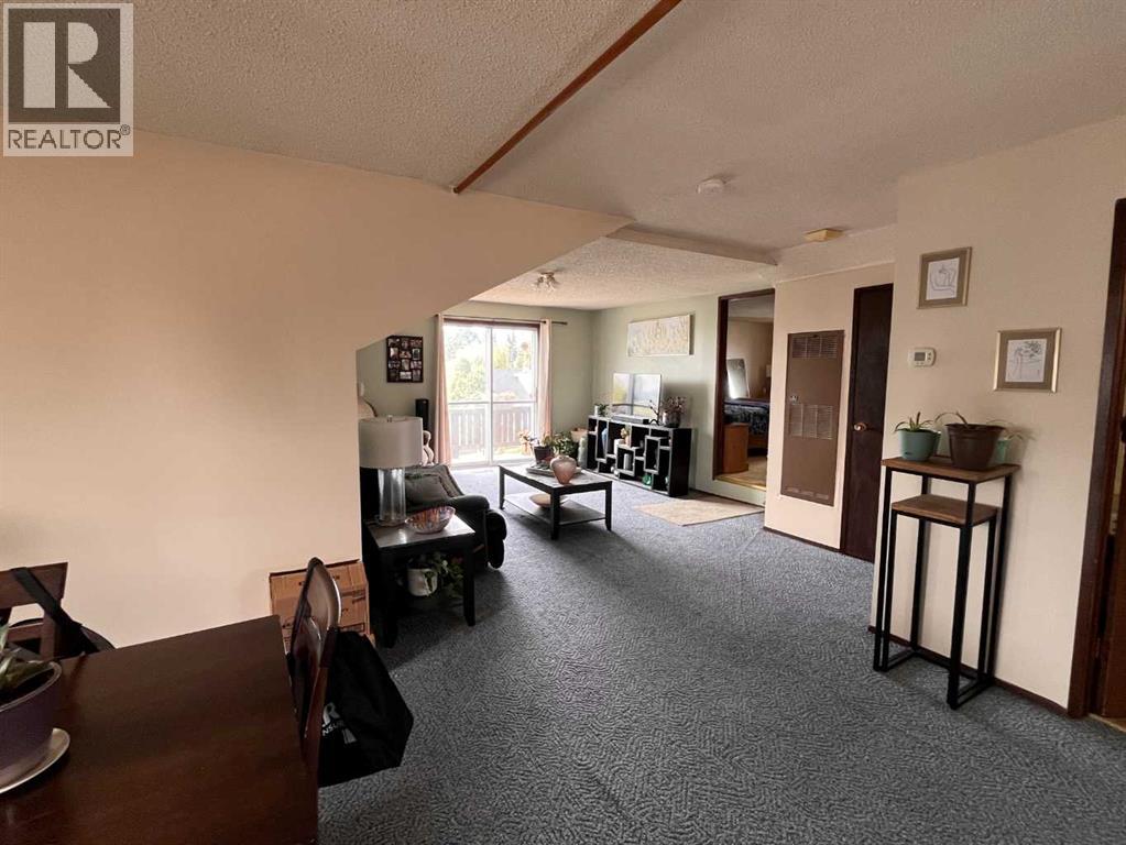 4815 46 Street, Rocky Mountain House, Alberta  T4T 1C4 - Photo 45 - A2351935