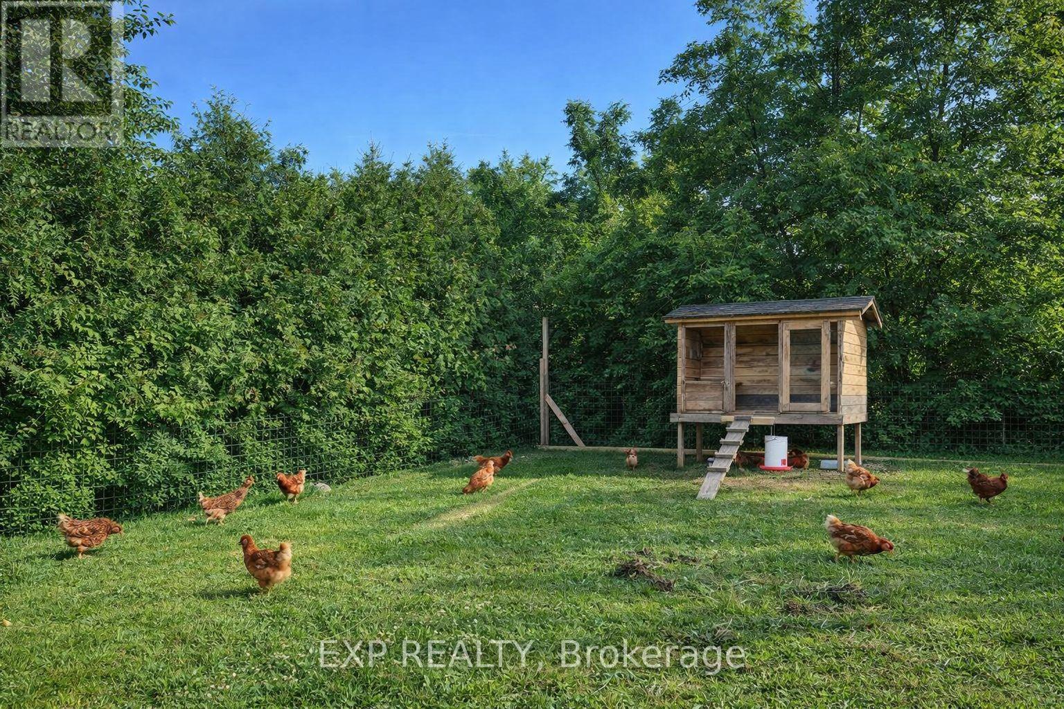 3460 Garner Road, Niagara Falls, Ontario  L2H 0S3 - Photo 5 - X14088442