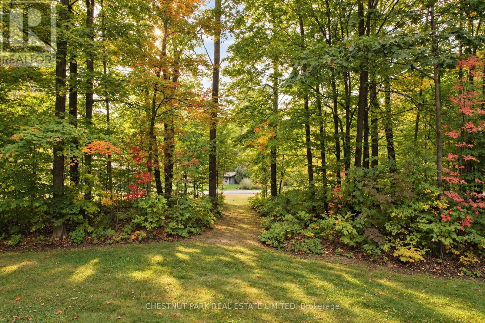 9 Mills Circle, Springwater, Ontario  L9X 0J7 - Photo 44 - S13868514