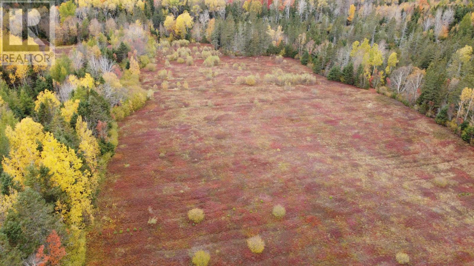 V/l Gould Road, Upper Nappan, Nova Scotia  B4H 3Y4 - Photo 3 - 202626043