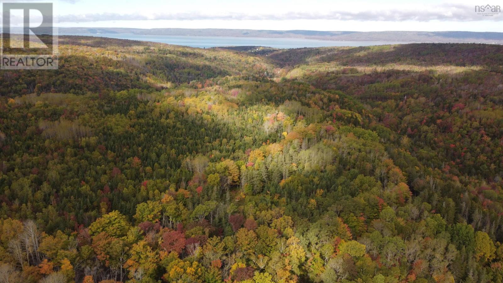 Lot Clementsport Road, Guinea, Nova Scotia  B0S 1A0 - Photo 4 - 202626059