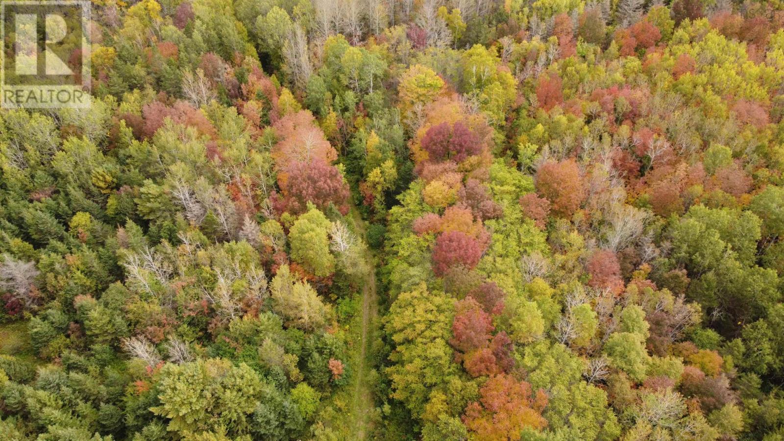Lot Clementsport Road, Guinea, Nova Scotia  B0S 1A0 - Photo 3 - 202626059