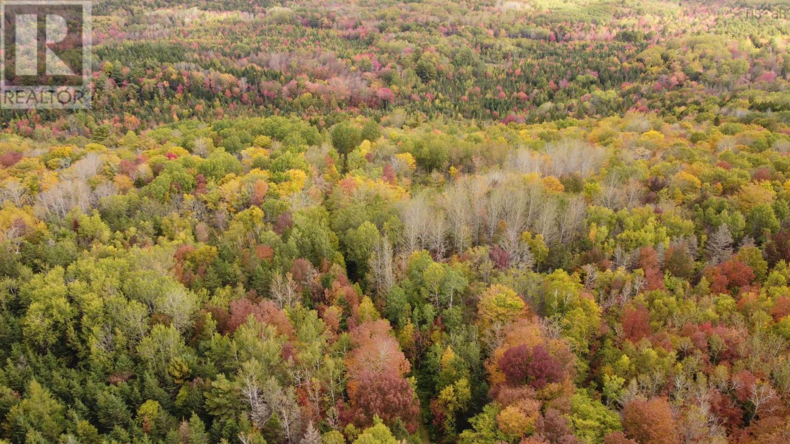Lot Clementsport Road, Guinea, Nova Scotia  B0S 1A0 - Photo 5 - 202626059