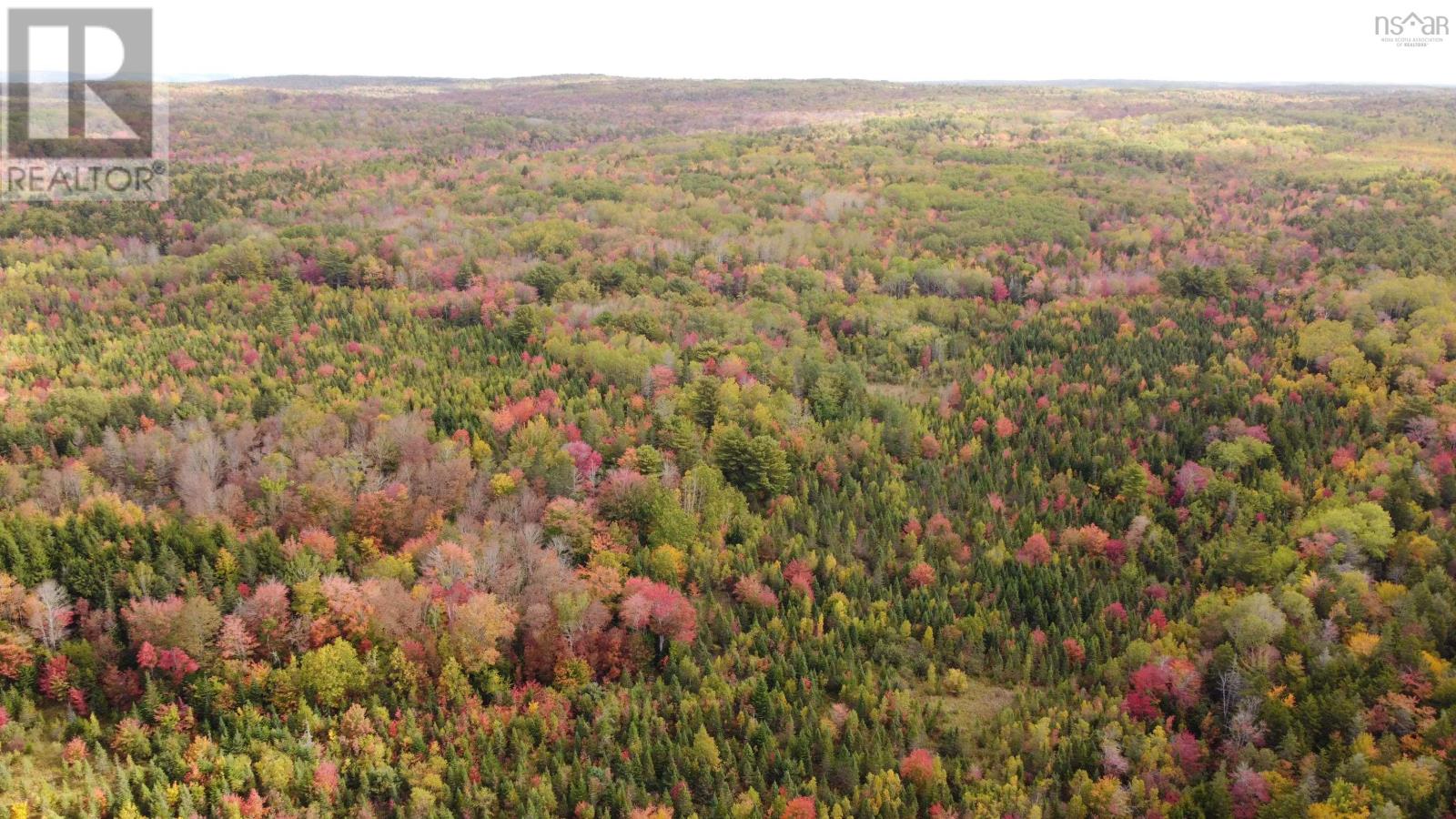 Lot Clementsport Road, Guinea, Nova Scotia  B0S 1A0 - Photo 6 - 202626059