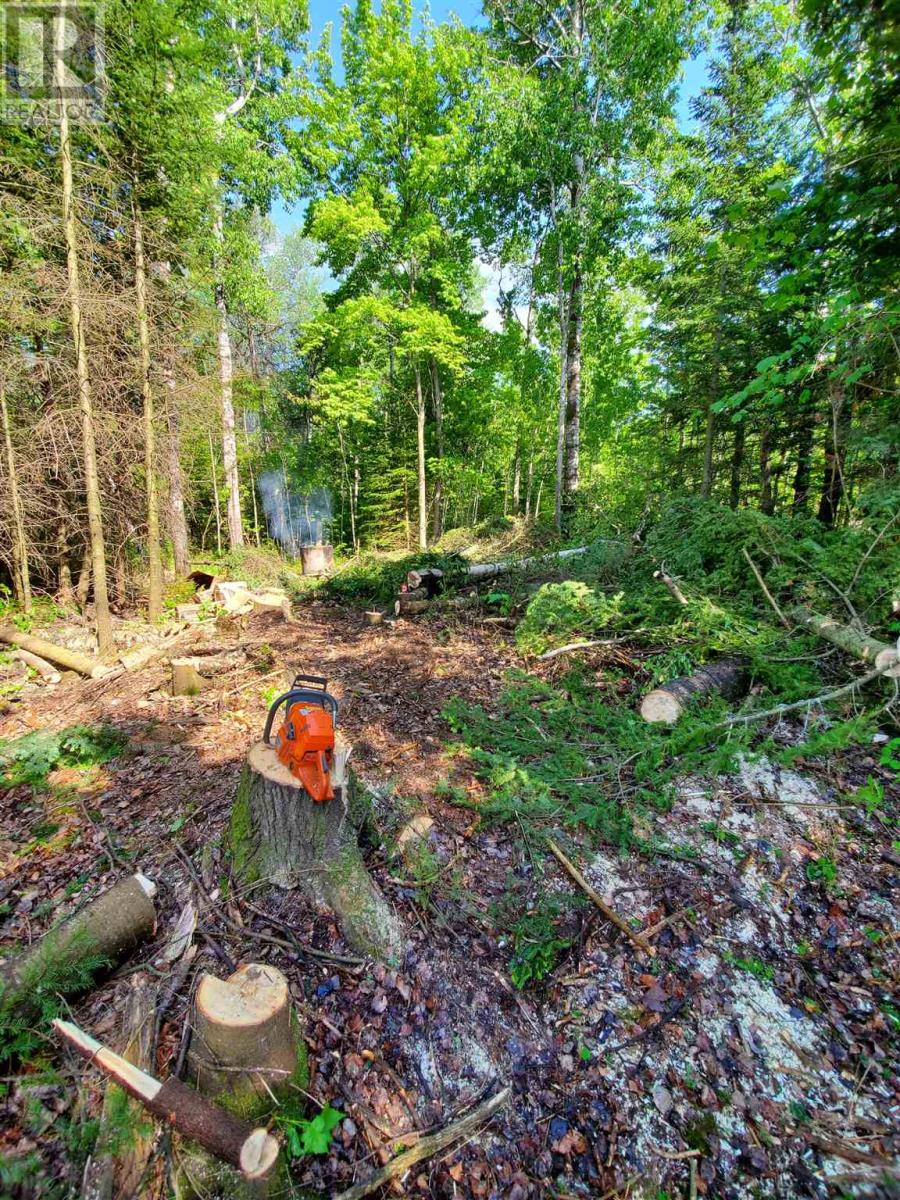 Lot 53 Lakeshore Dr S, Sault Ste. Marie, Ontario  P6A 5K8 - Photo 2 - SM262912