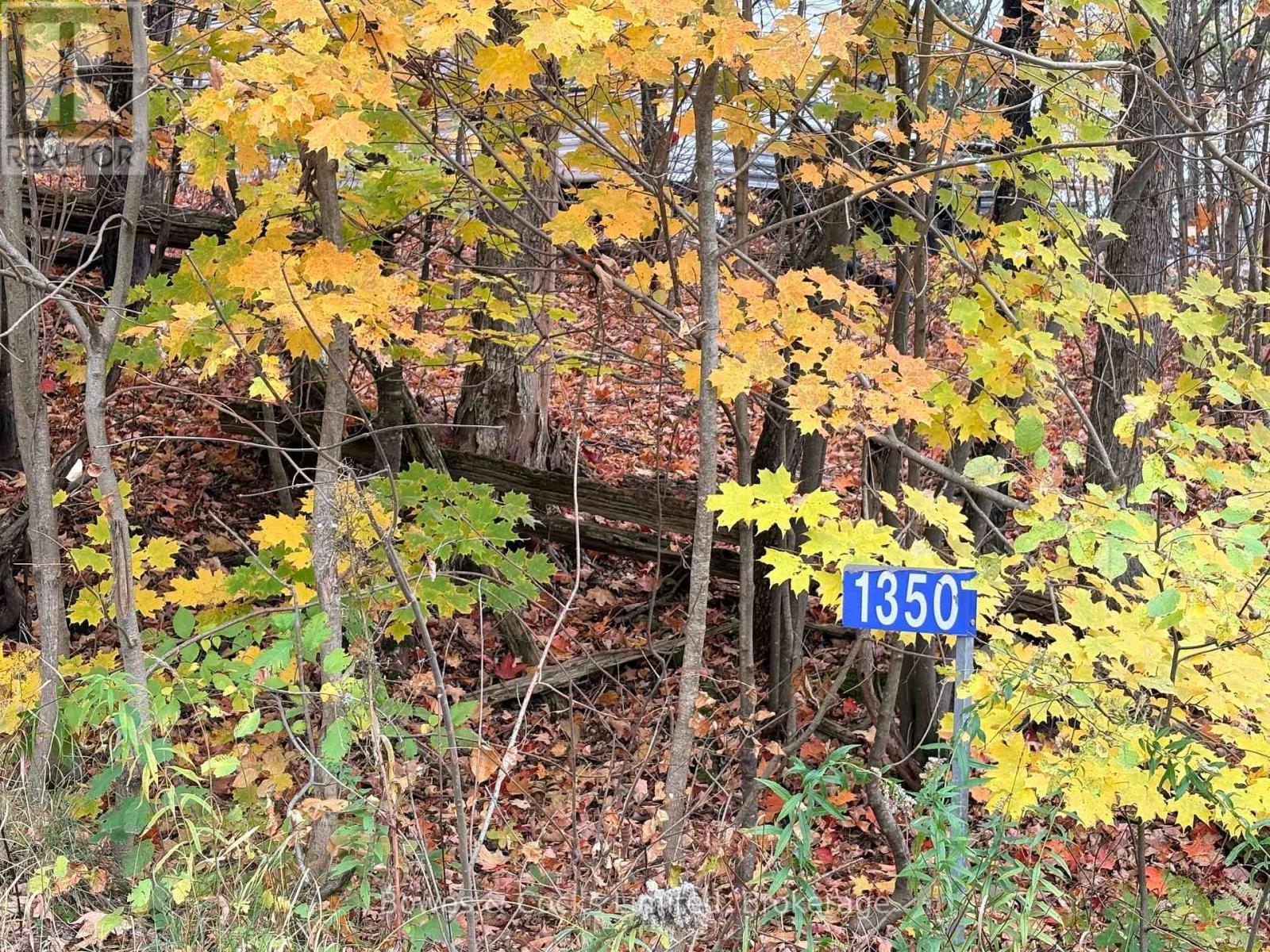 1350 Madill Road, Highlands East, Ontario  K0L 2Y0 - Photo 2 - X14089104