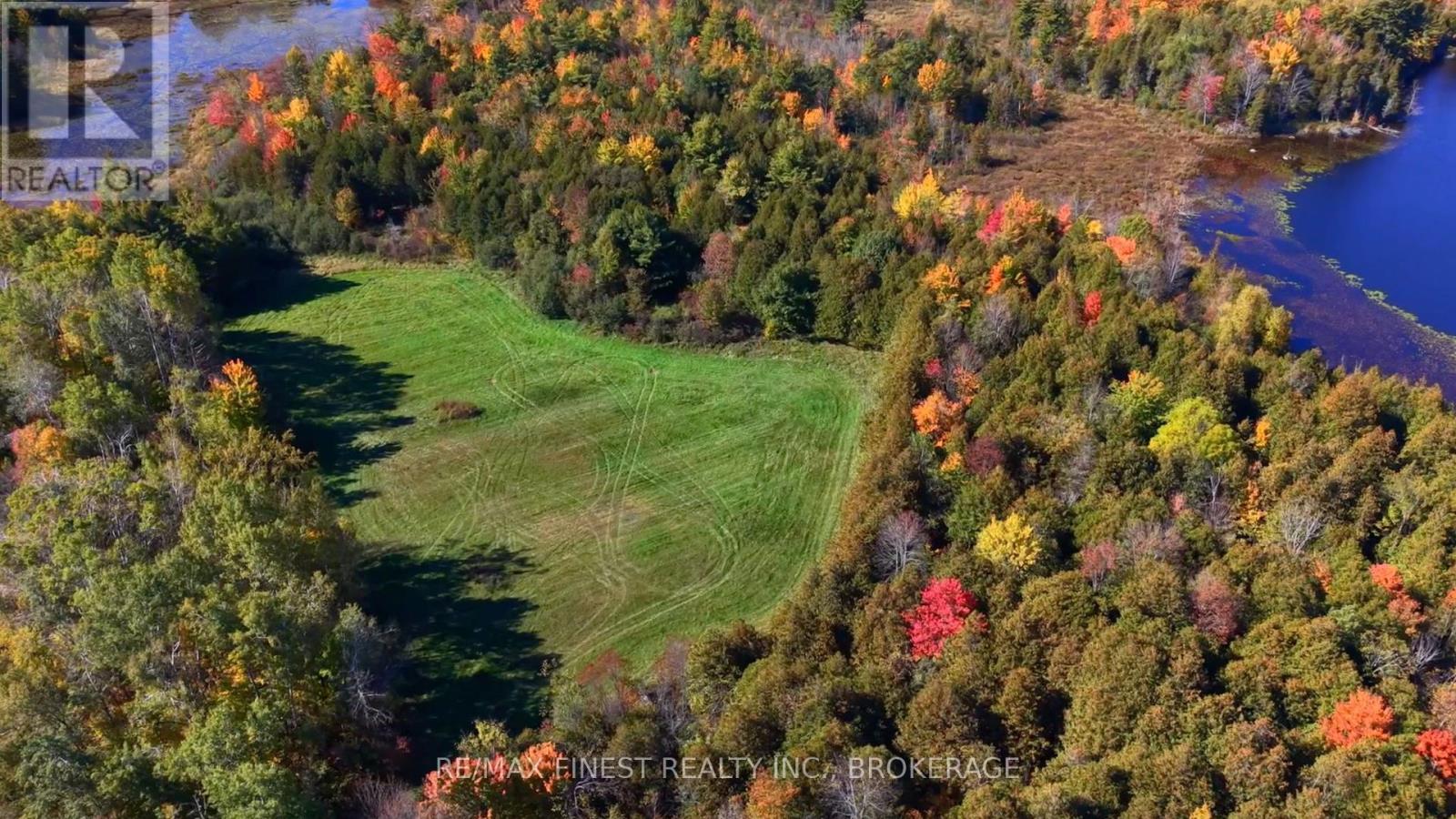 1283a Wilkinson Road, Frontenac, Ontario  K0K 1Z0 - Photo 11 - X14088910