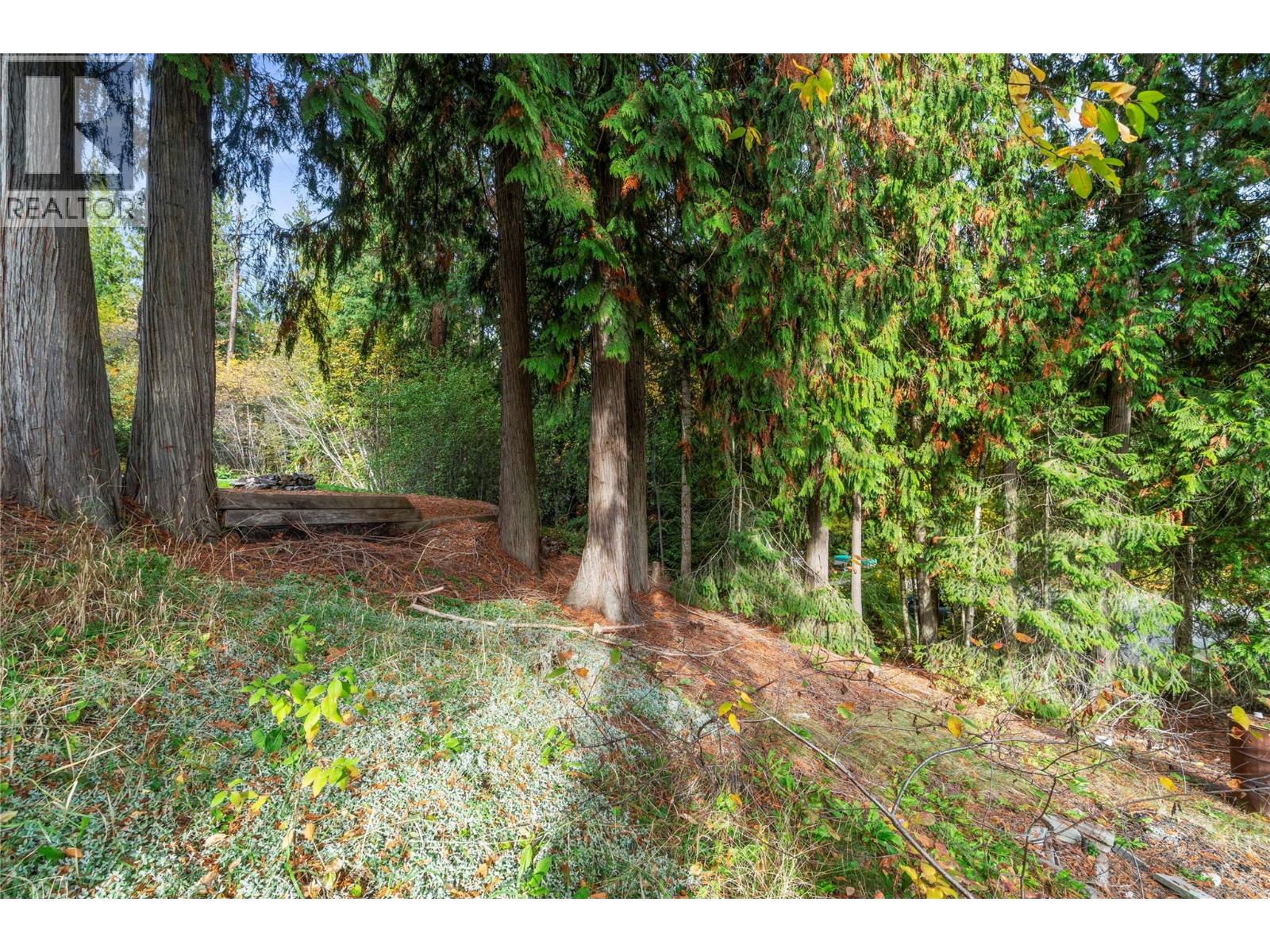 2455 Forest Drive