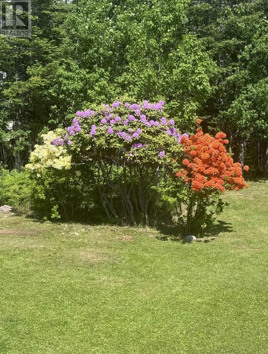 picture 30