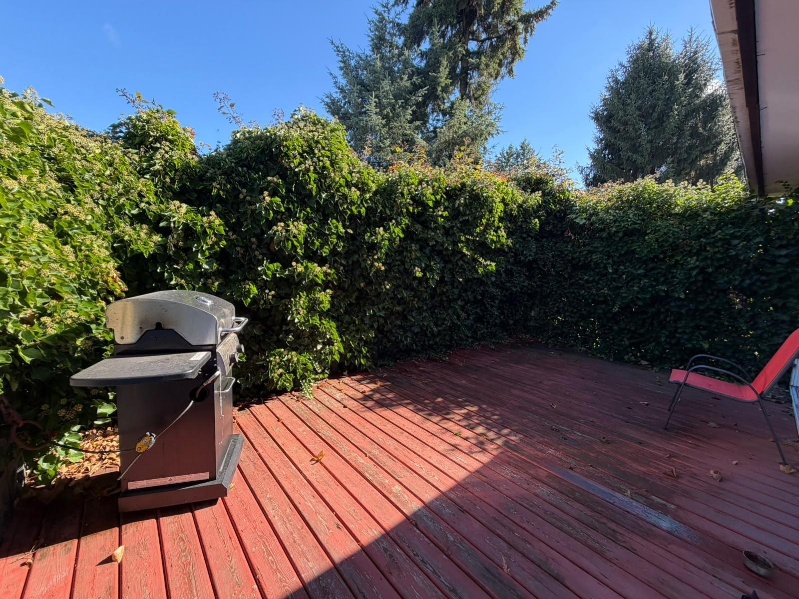 10034 132a Street, Surrey, British Columbia  V3T 5B3 - Photo 23 - R3175697