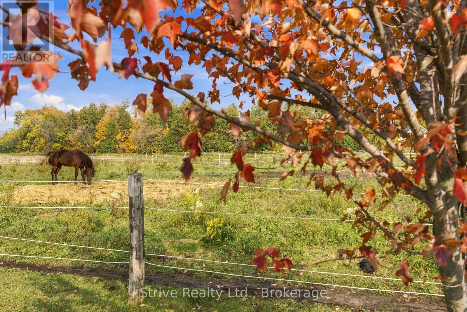 239 Fallis Line, Cavan Monaghan, Ontario  L0A 1G0 - Photo 38 - X14089230