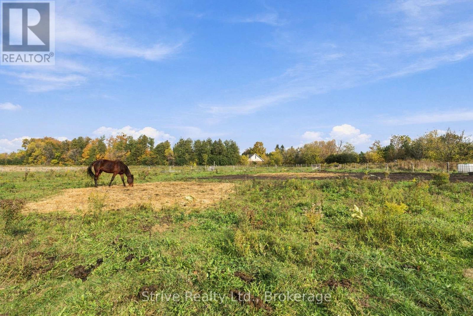 239 Fallis Line, Cavan Monaghan, Ontario  L0A 1G0 - Photo 41 - X14089230