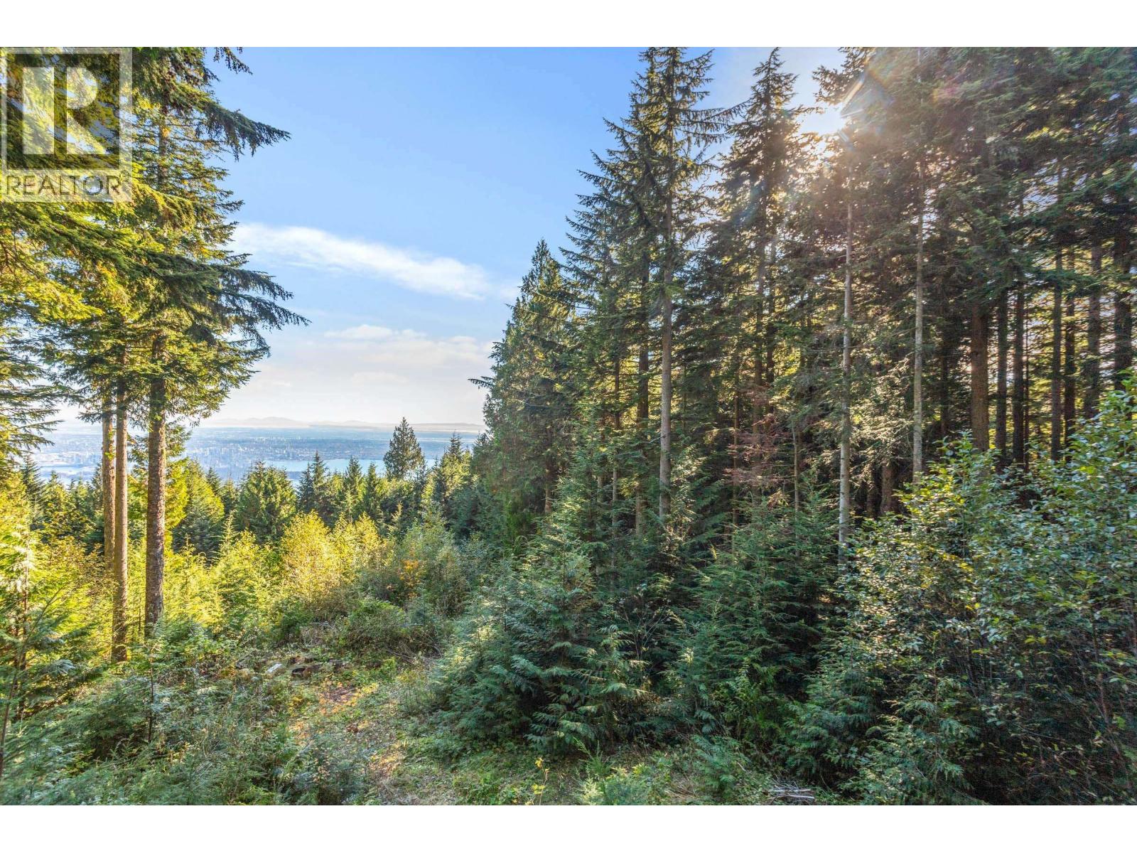 1c Hollyburn Ridge, West Vancouver, British Columbia  V0V 0V0 - Photo 20 - R3176250