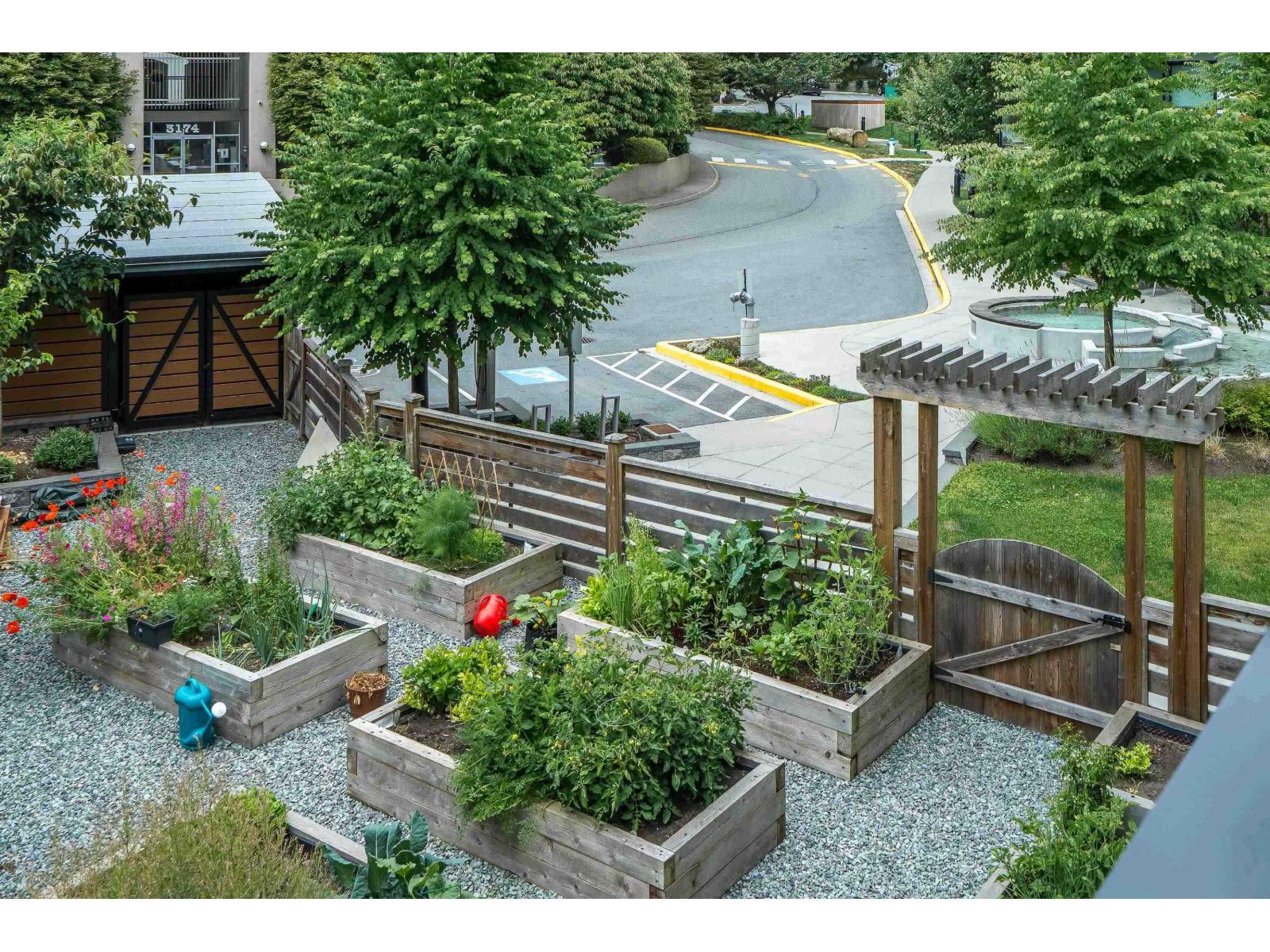 205 3182 Gladwin Road, Abbotsford, British Columbia  V2T 0K8 - Photo 32 - R3175734