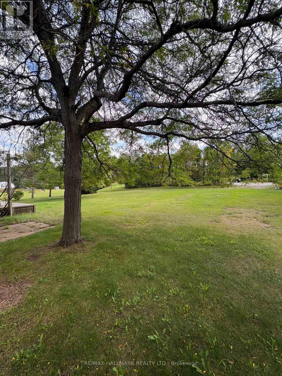 4749 Aurora Road E, Whitchurch-Stouffville, Ontario  L4A 3J8 - Photo 23 - N14088600