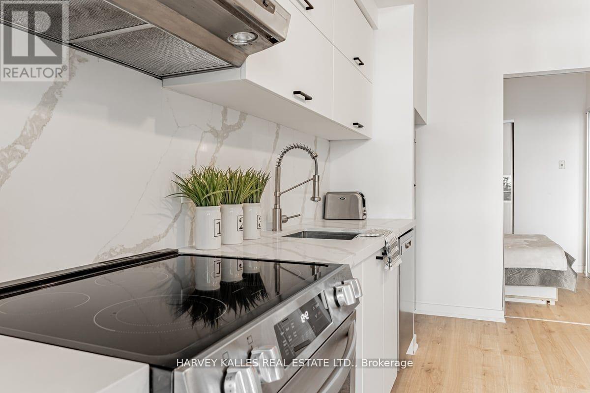 306 - 55 Stewart Street, Toronto, Ontario  M5V 2V1 - Photo 12 - C14089460