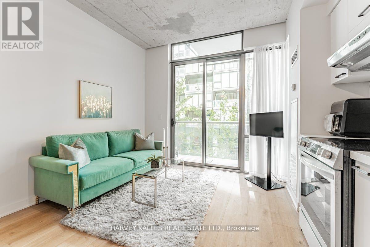 306 - 55 Stewart Street, Toronto, Ontario  M5V 2V1 - Photo 4 - C14089460