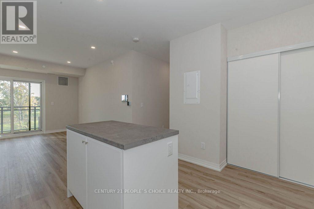 226 - 50 Herrick Avenue, St. Catharines, Ontario  L2P 0G3 - Photo 14 - X14089644