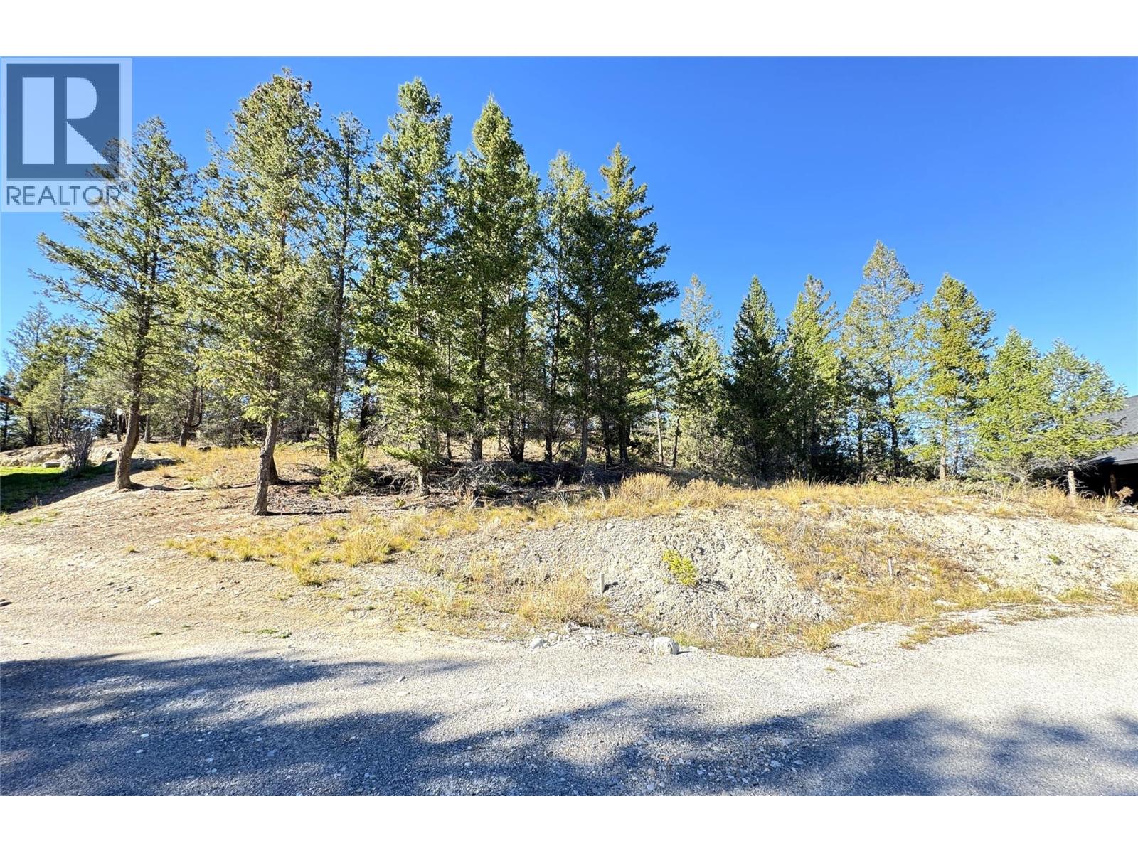 Lot 41 Cooper Road, Windermere, British Columbia  V0A 1K2 - Photo 11 - 10403520