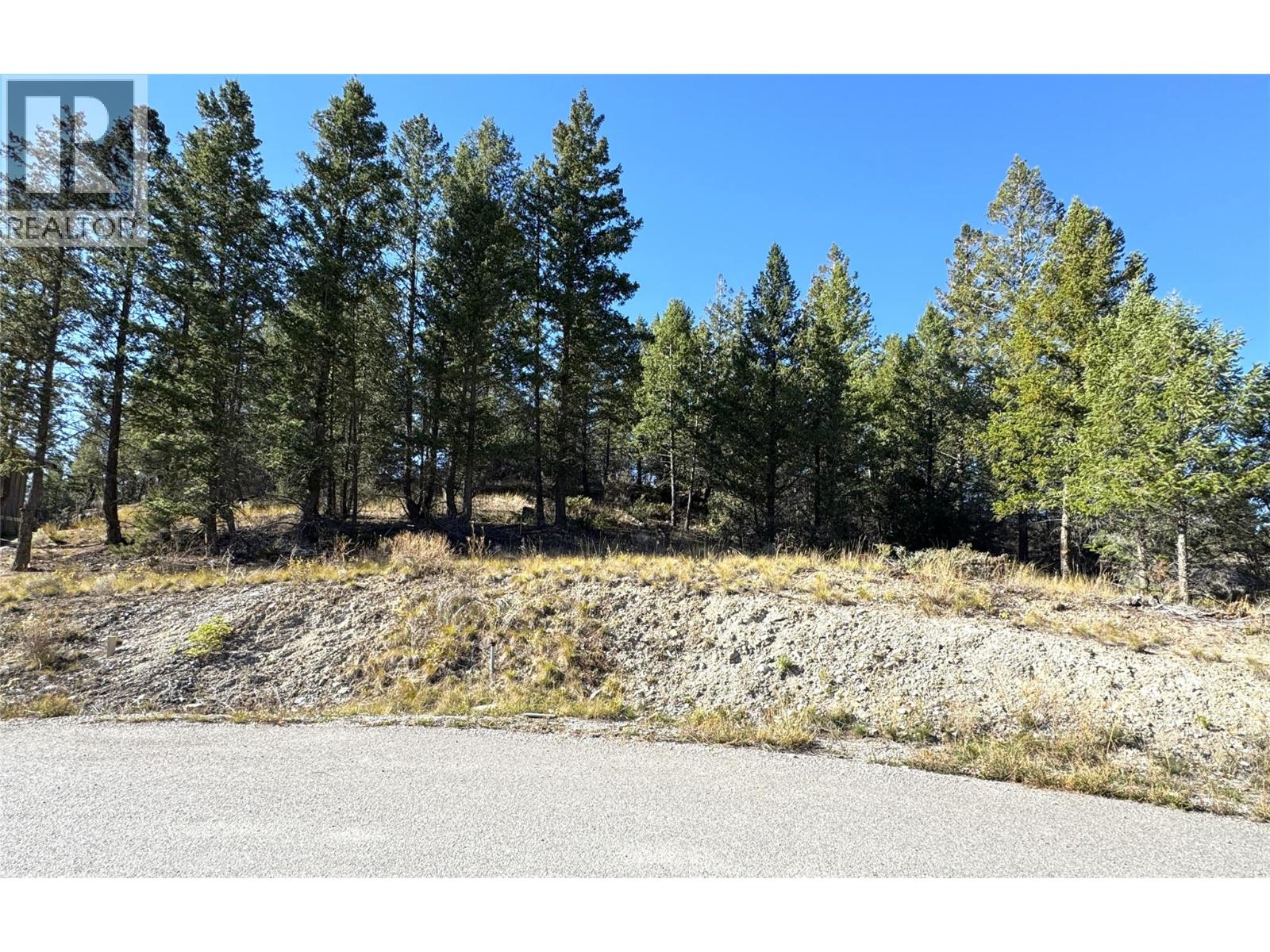 Lot 41 Cooper Road, Windermere, British Columbia  V0A 1K2 - Photo 16 - 10403520