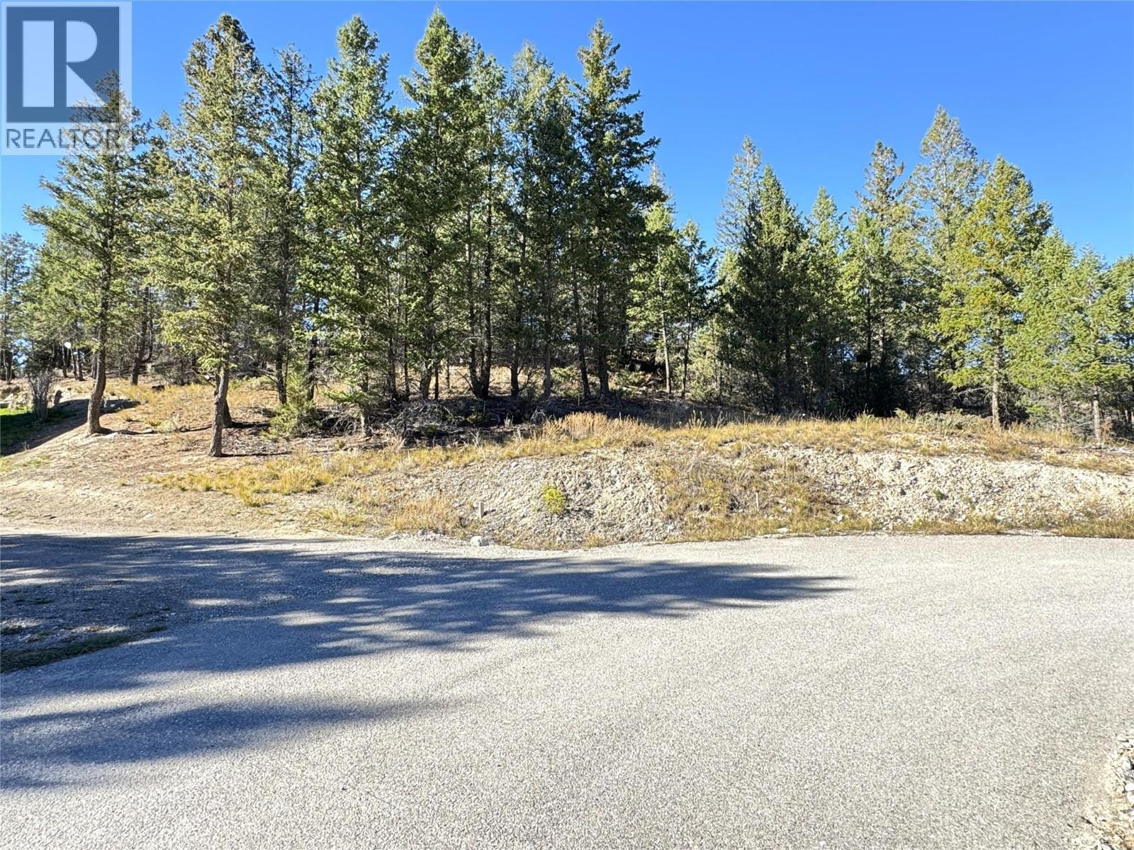 Lot 41 Cooper Road, Windermere, British Columbia  V0A 1K2 - Photo 4 - 10403520