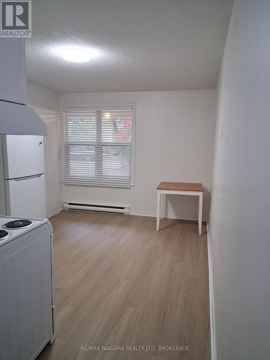 Unit 1 - 109 George Street, St. Catharines, Ontario  L2R 5P2 - Photo 5 - X14087980
