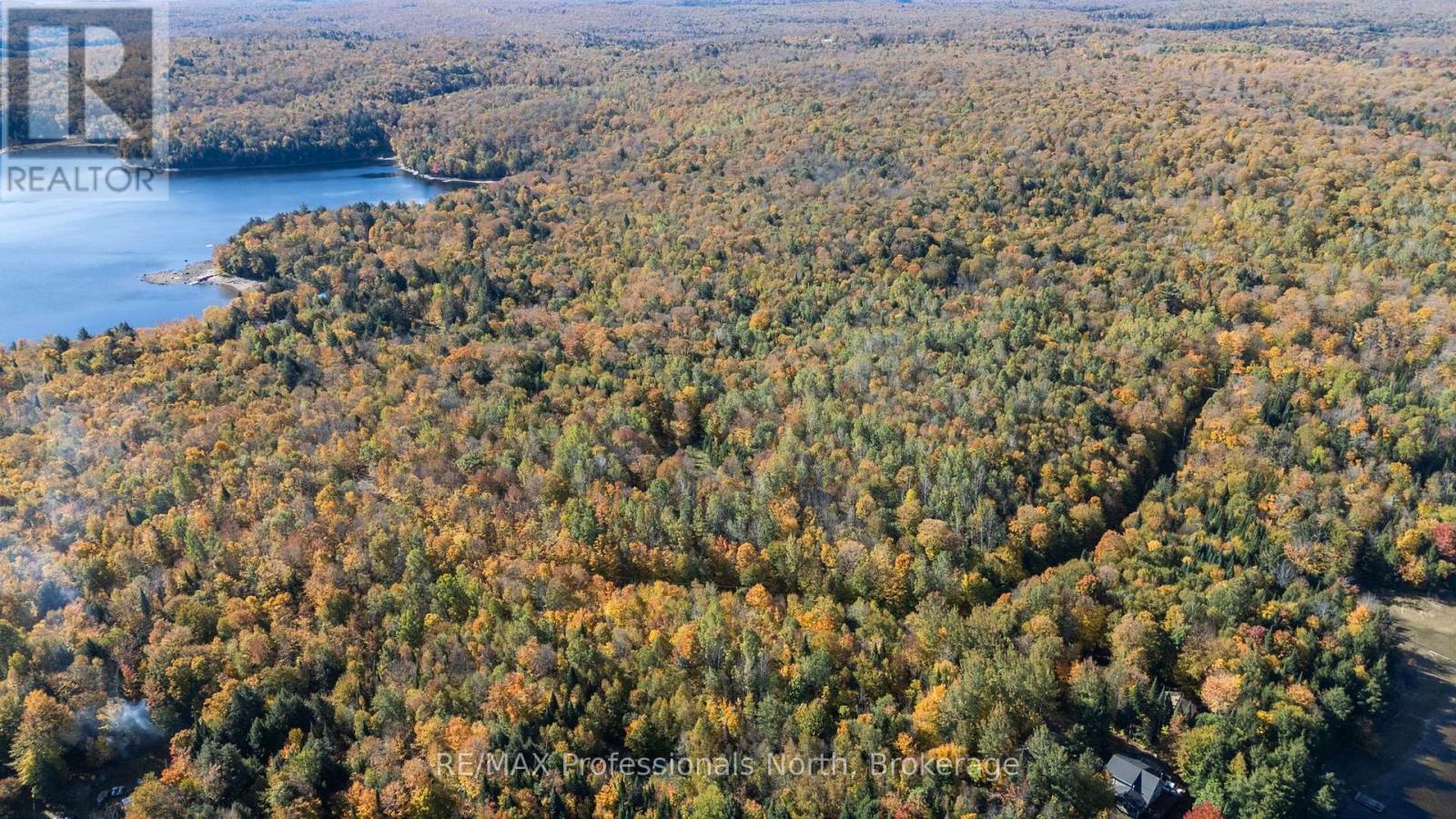 1555 Breckles Drive, Dysart Et Al, Ontario  K0M 1S0 - Photo 10 - X14089946