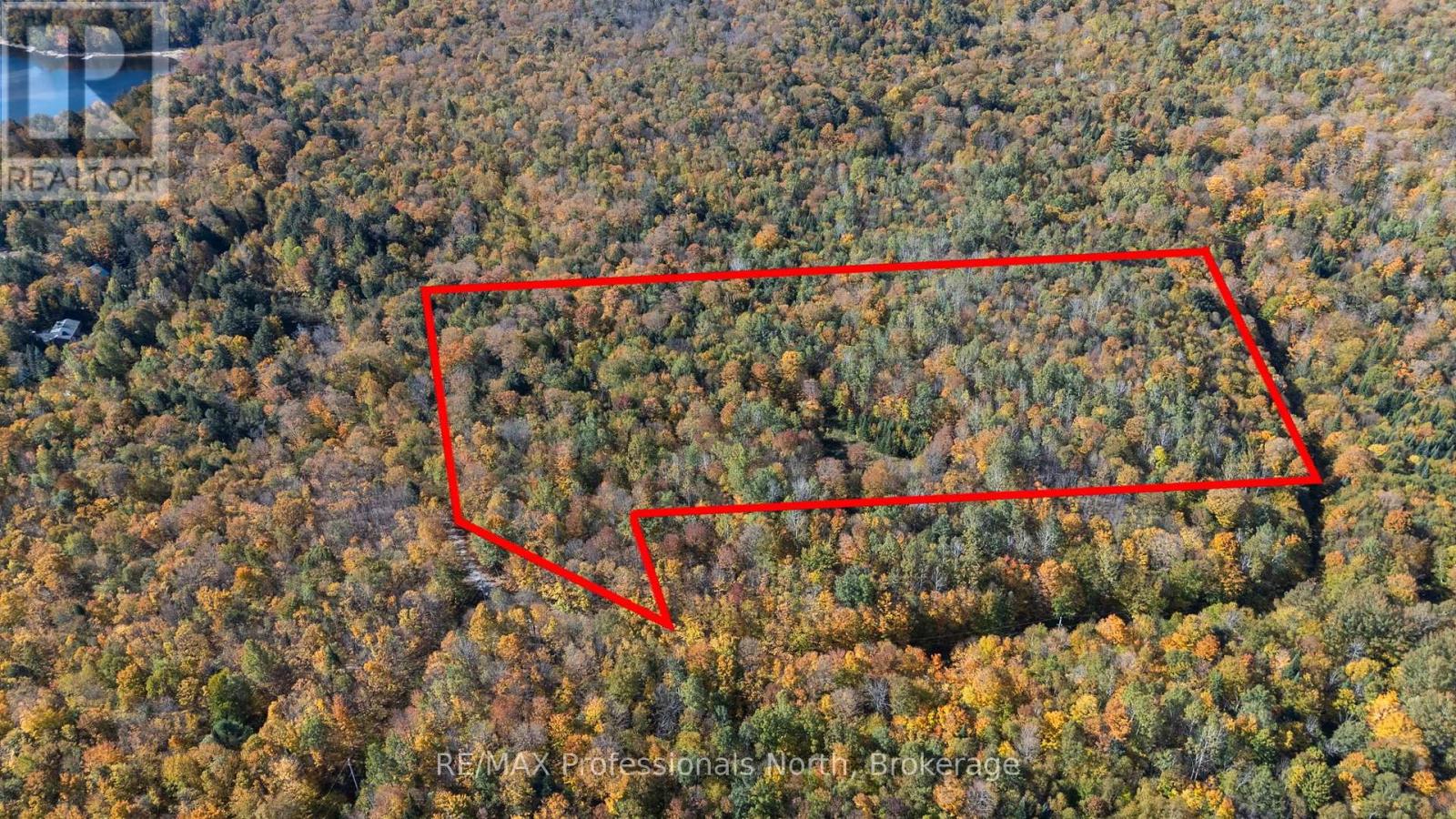 1555 Breckles Drive, Dysart Et Al, Ontario  K0M 1S0 - Photo 2 - X14089946
