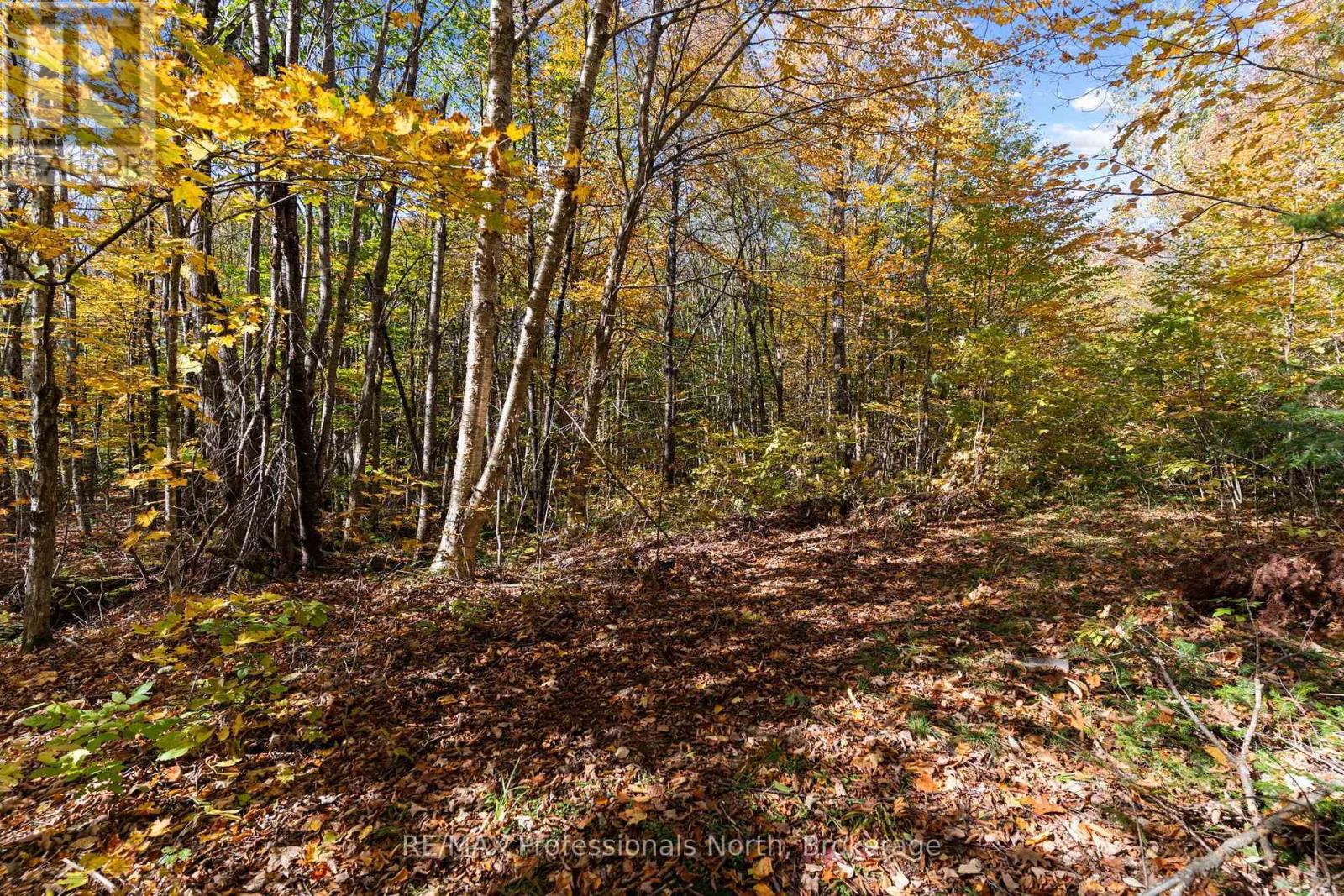 1555 Breckles Drive, Dysart Et Al, Ontario  K0M 1S0 - Photo 4 - X14089946