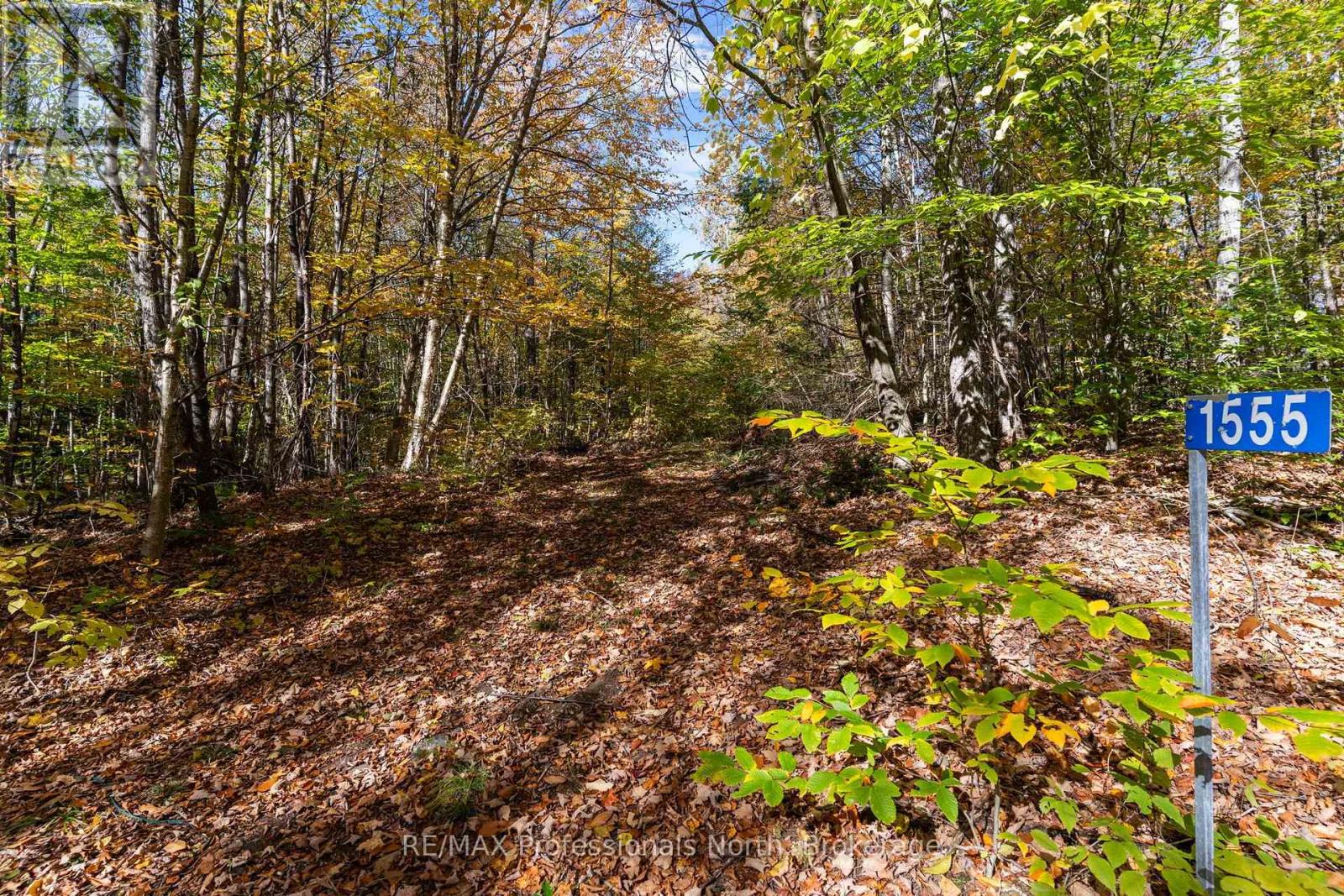 1555 Breckles Drive, Dysart Et Al, Ontario  K0M 1S0 - Photo 6 - X14089946