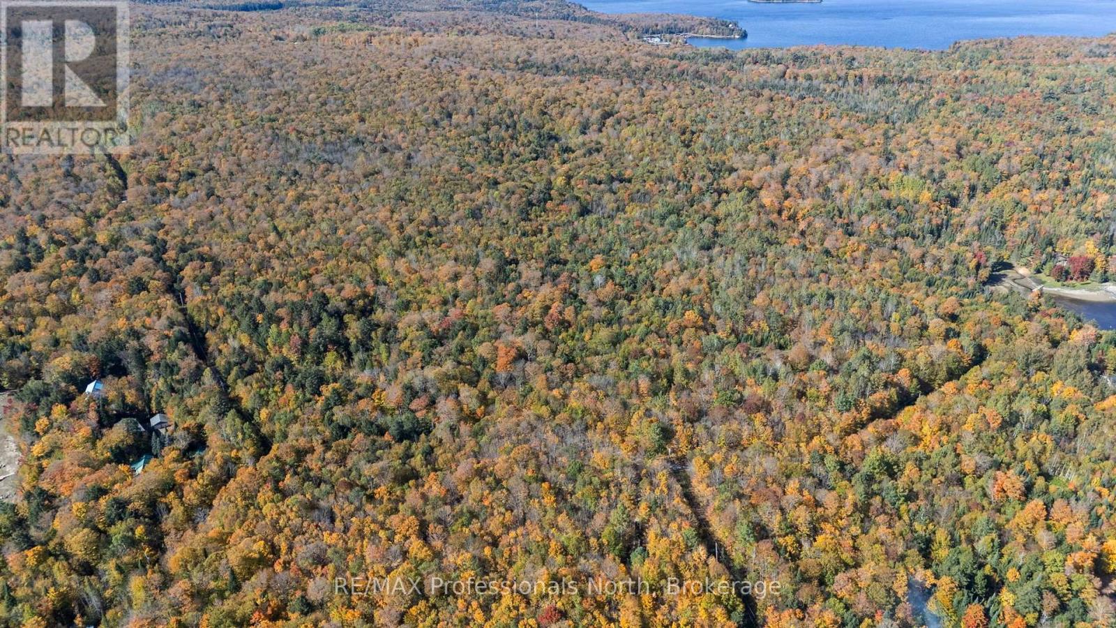 1555 Breckles Drive, Dysart Et Al, Ontario  K0M 1S0 - Photo 7 - X14089946
