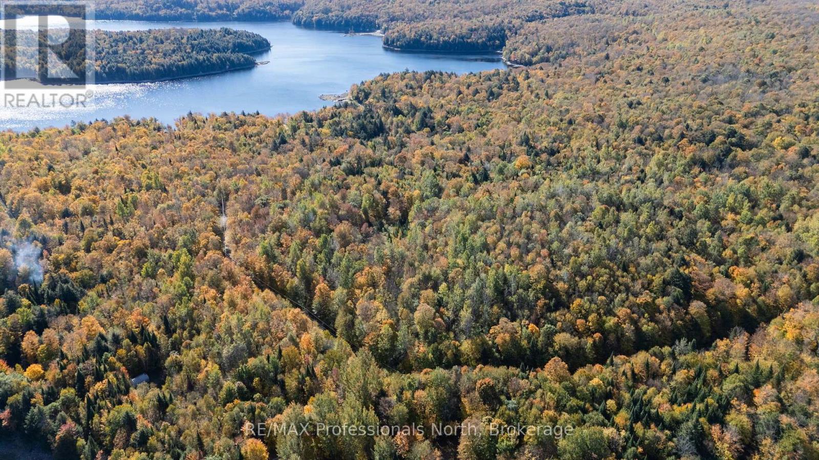 1555 Breckles Drive, Dysart Et Al, Ontario  K0M 1S0 - Photo 9 - X14089946