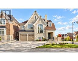 BASEMENT - 19 SCUFFLER DRIVE, Vaughan, Ontario