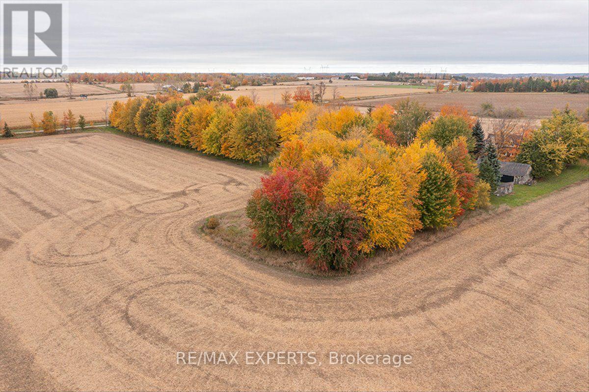 5329 15th Line, New Tecumseth, Ontario  L0L 1L0 - Photo 5 - N14082906