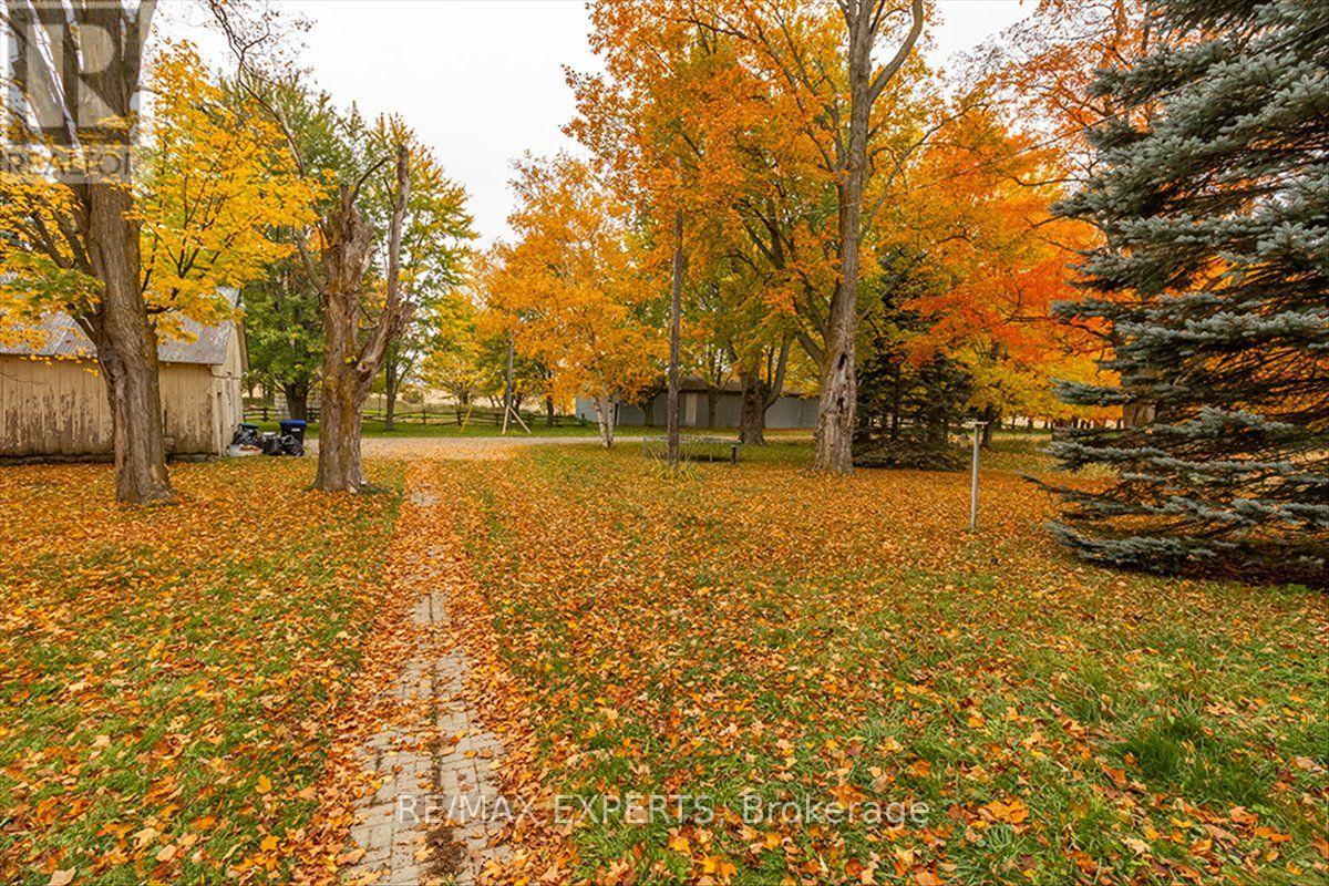 5329 15th Line, New Tecumseth, Ontario  L0L 1L0 - Photo 7 - N14082922
