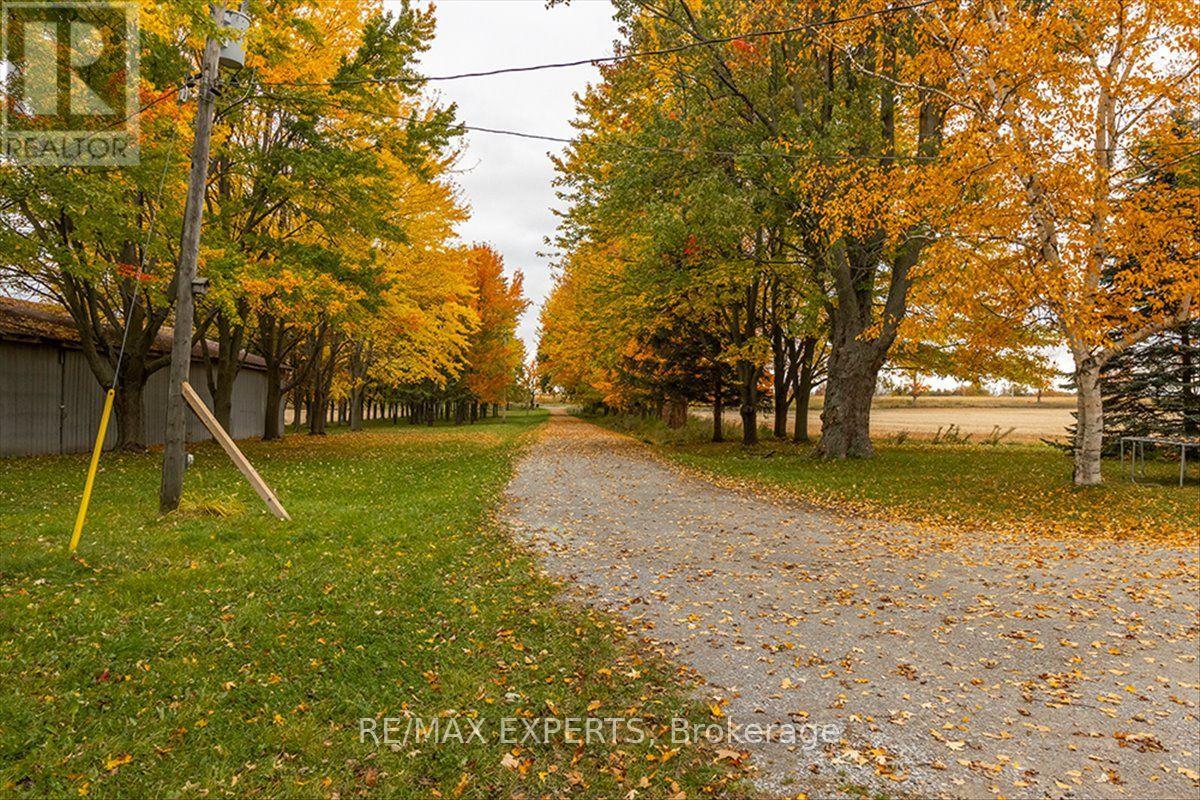 5329 15th Line, New Tecumseth, Ontario  L0L 1L0 - Photo 6 - N14082922