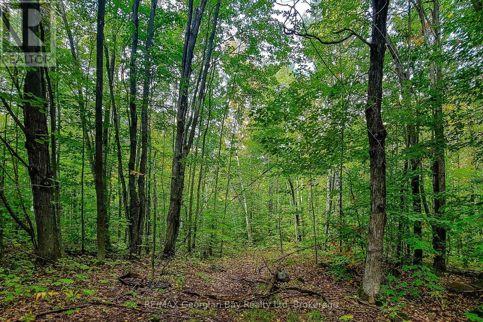 Lot 18 Conc 19 Road W, Tiny, Ontario  L9M 2H7 - Photo 5 - S14090268