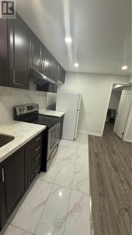 Basement - 54 Bethany Street, Markham, Ontario  L3S 4T9 - Photo 4 - N14090244