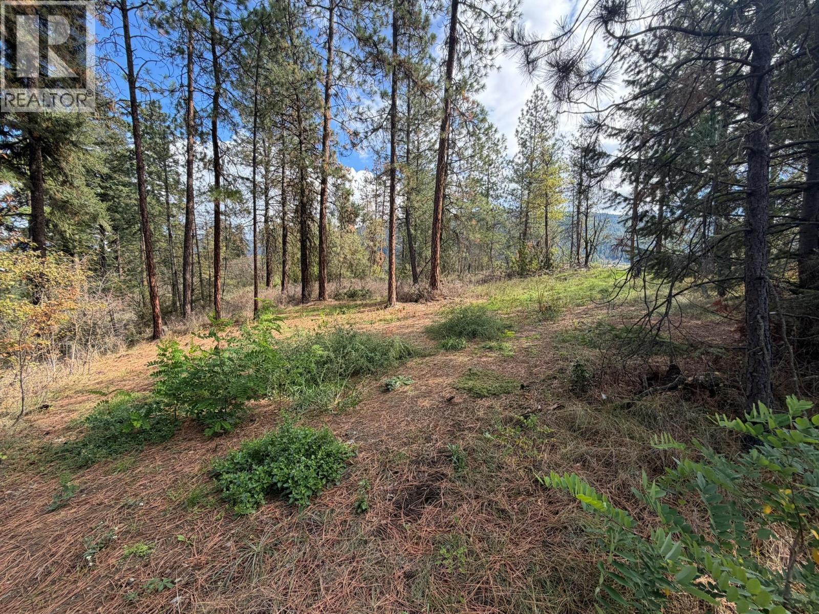 5440 Silver Star Road