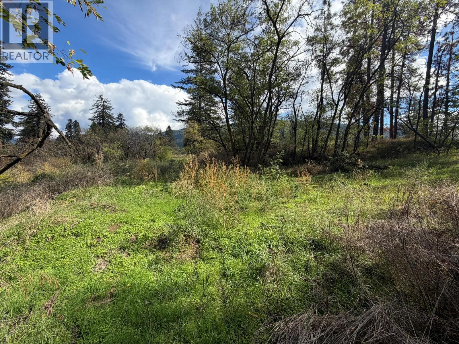 5440 Silver Star Road